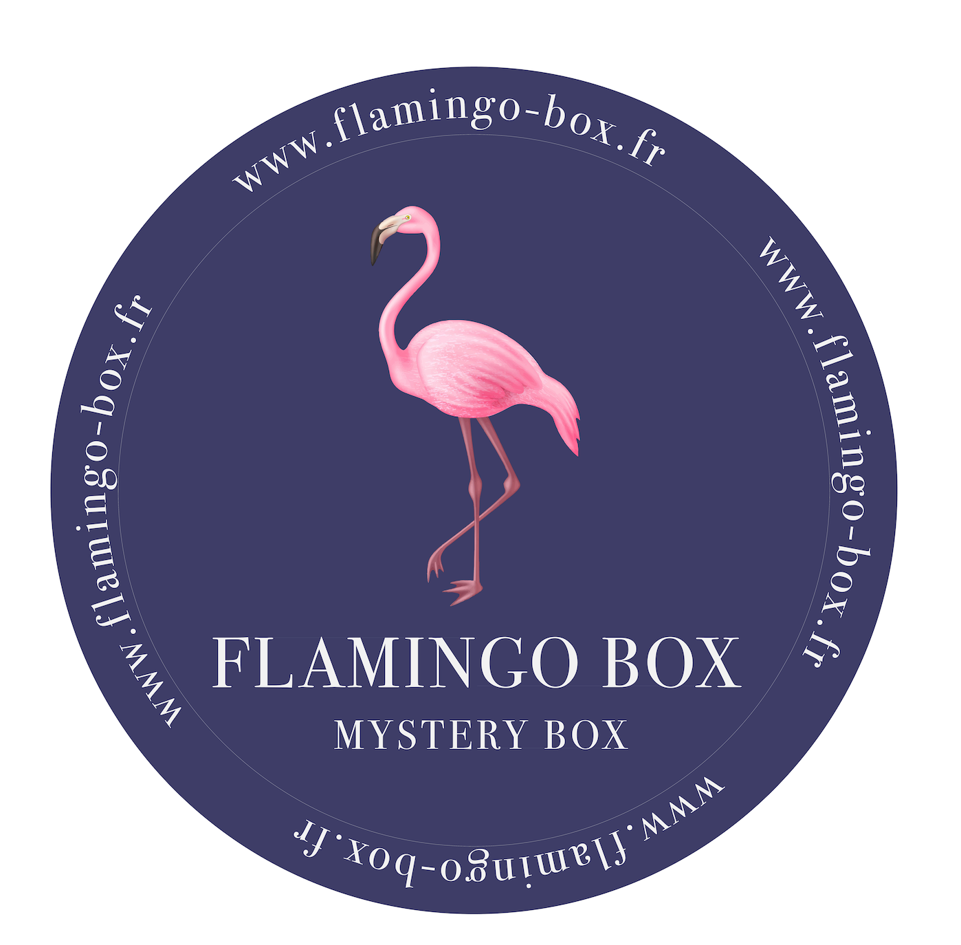 Flamingo Box fait un carton en vendant des colis perdus sans révéler leur  contenu